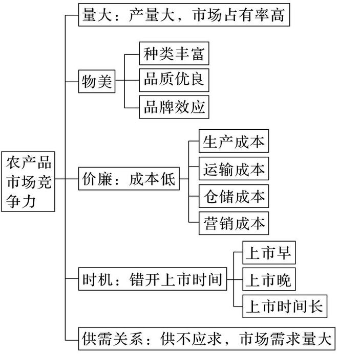 地理 二轮微专题22 市场竞争力j9九游会网站入口2025高考(图10)