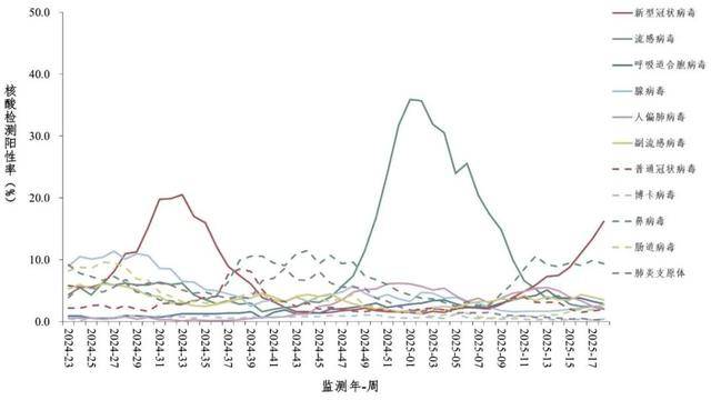 来_高峰_病毒_呼吸道j9国际站登录新冠又(图8)
