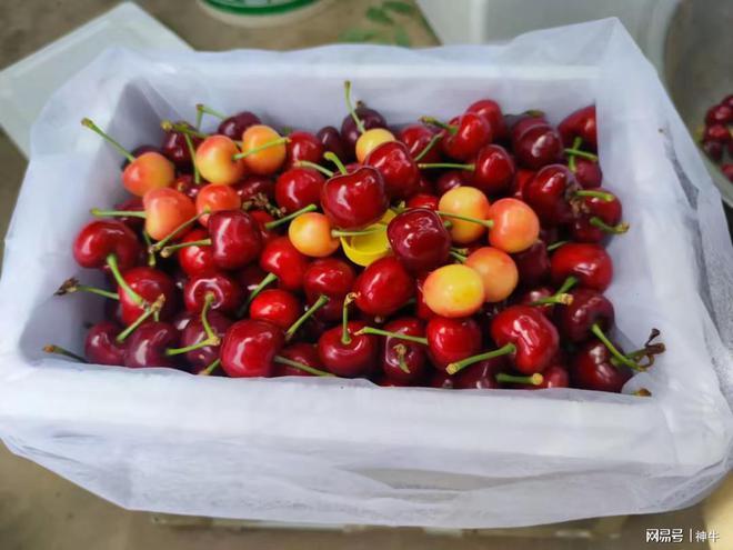 般4种人记得“躲夏”3个习俗为家人消灾祈福j9九游会俱乐部登录入口今年立夏3个不一(图5) 般4种人记得“躲夏”3个习俗为家人消灾祈福j9九游会俱乐部登录入口今年立夏3个不一(图5)